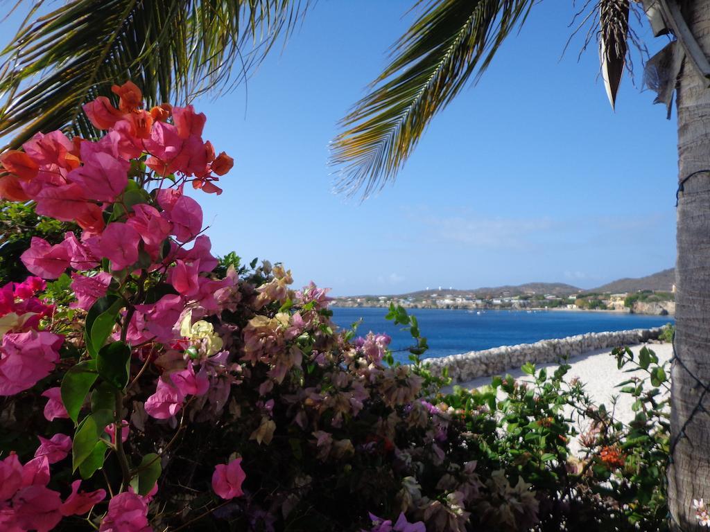 Marazul Dive Resort Westpunt Номер фото