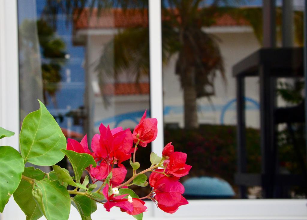 Marazul Dive Resort Westpunt Екстер'єр фото